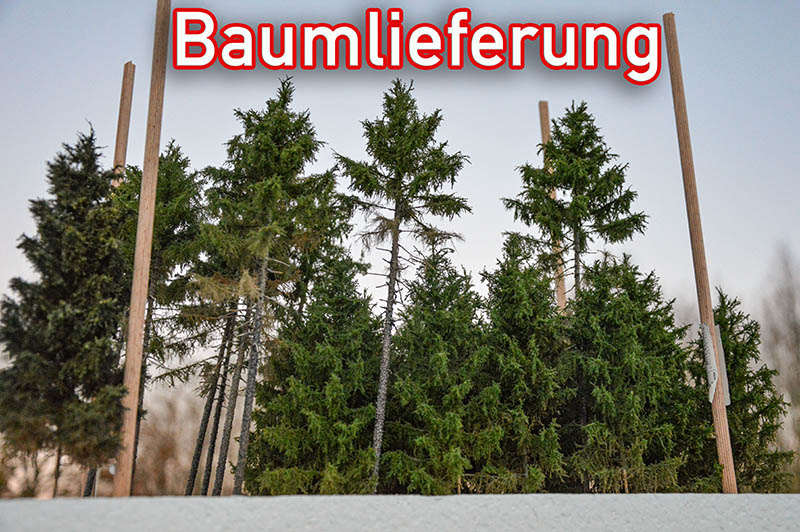 baufortschritt_2022_03_bild_02_800px.jpg